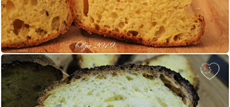 Pane alla Zucca e Semini cotto in Fornetto Estense Pane alla Zucca e Semini cotto in Fornetto Estense