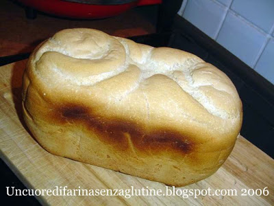 Pane bianco senza glutine con farina Mix it! DS