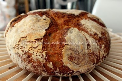 Pane con nuovo Mix Piaceri Mediterranei