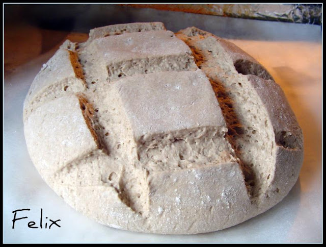 Pane con farina di Teff