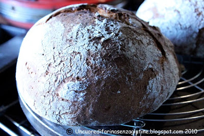 Pane alla ricotta senza glutine