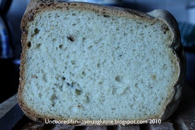 Pane al Pesto e Pinoli