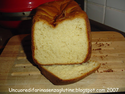 Panbrioche senza glutine con Mdp