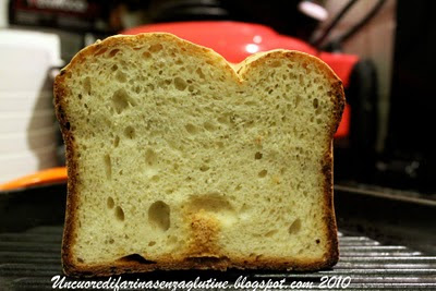 Cottage Dill Bread Gluten Free