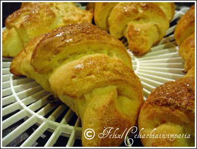 Brioche con lievito madre senza glutine