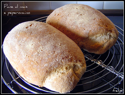 Pane al Mais Senza Glutine