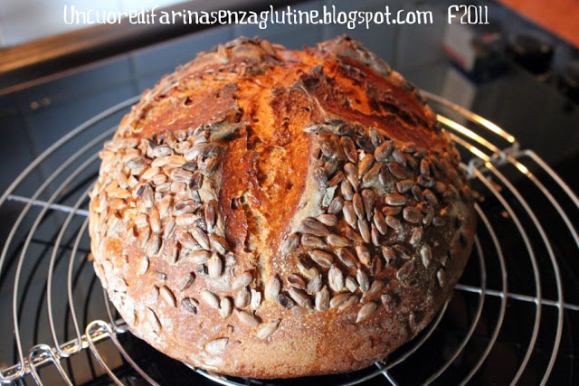 Pane Tedesco alla Birra