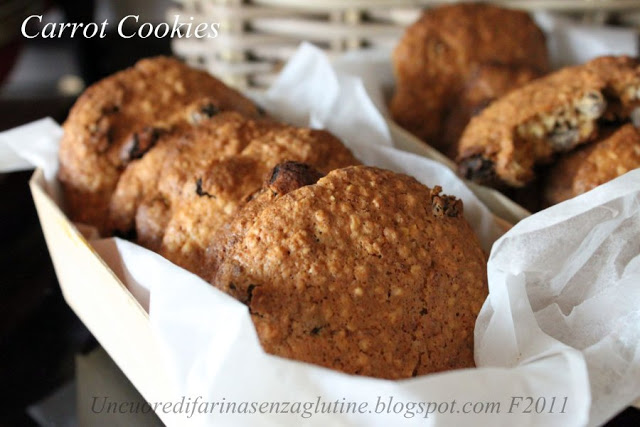 I Carrot Cookies di Mari