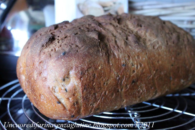 Pane con Mix Rustico Glutabye