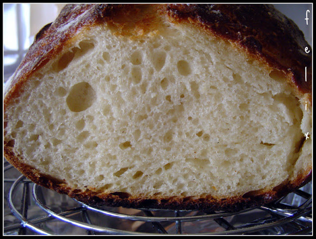 No Knead Bread - Pane Senza Impasto - con Lievito Madre