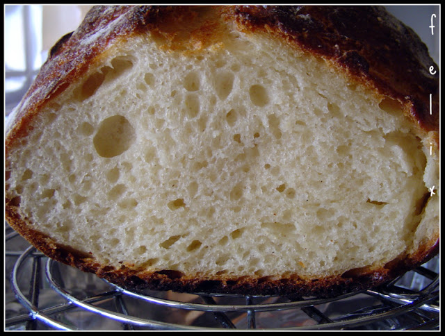 No Knead Bread – Pane Senza Impasto – con Lievito Madre