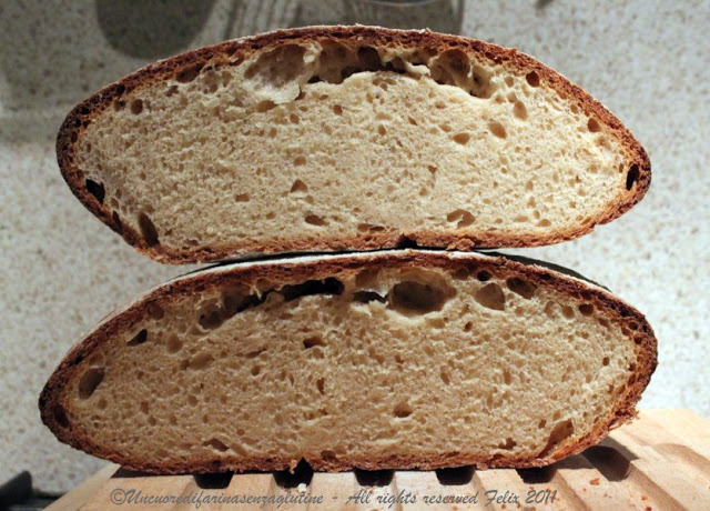 Pane Cafone Tradotto…