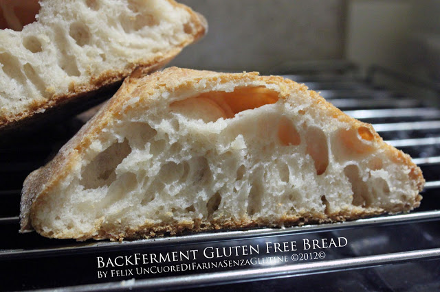 BackFerment Gluten Free Bread