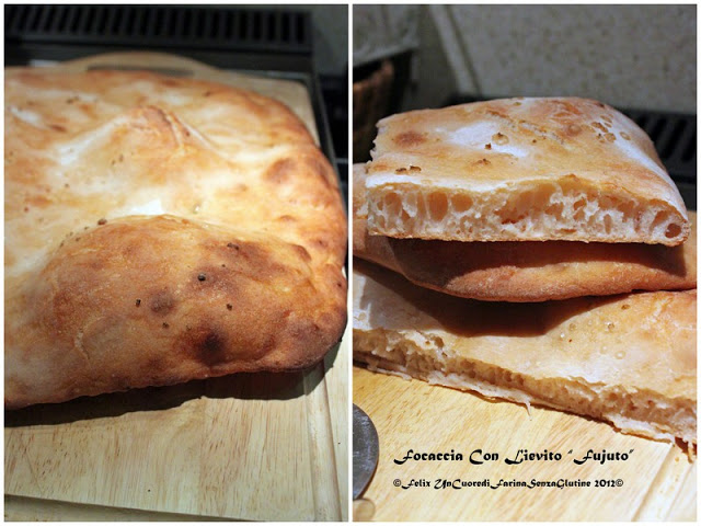 Focaccia con Lievito “Fujuto” – Senza Glutine