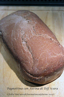 Un piccolo esperimento: Pane Fermentato al Teff - Senza glutine&Senza Lievito