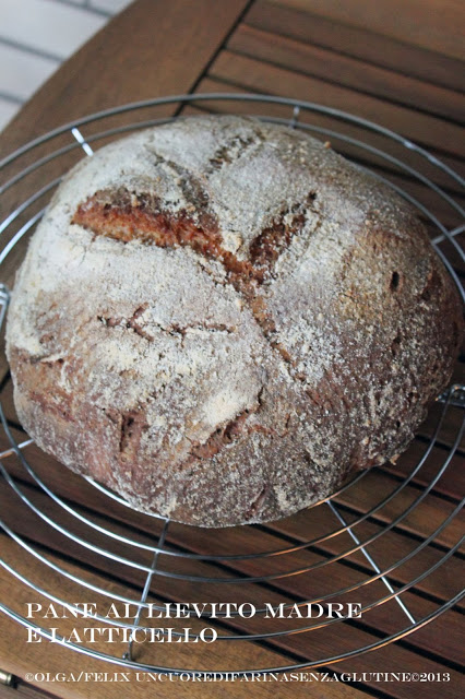 Pane al Latticello con Lievito Madre – Senza Glutine