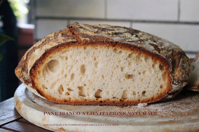 Pane Bianco a Lievitazione Naturale