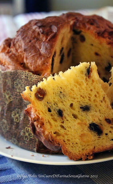 Panettone a Lievitazione Naturale (con Lievito Madre)