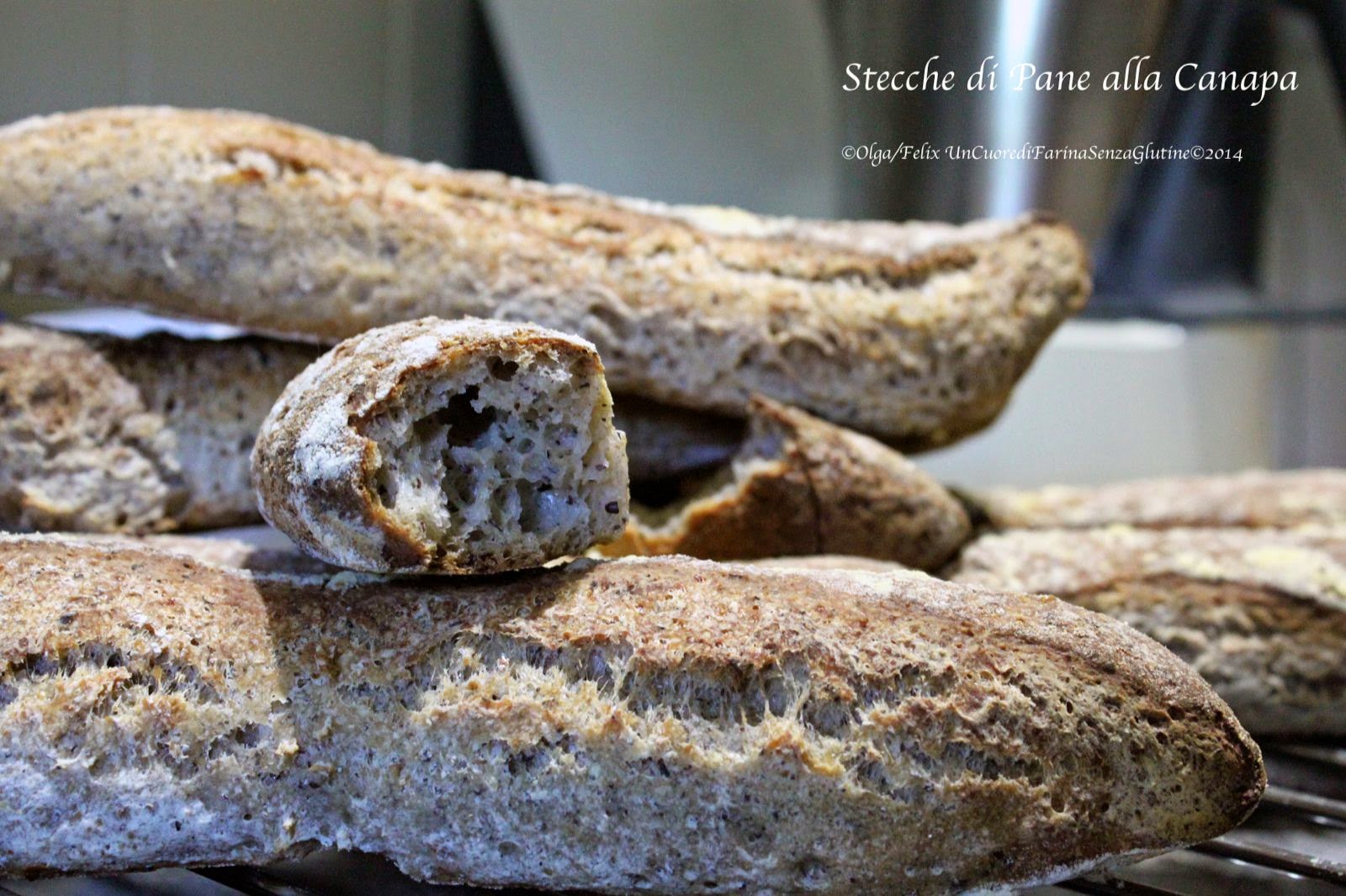 Stecche di Pane alla Canapa e Semi di Lino o “Omega Stecche”