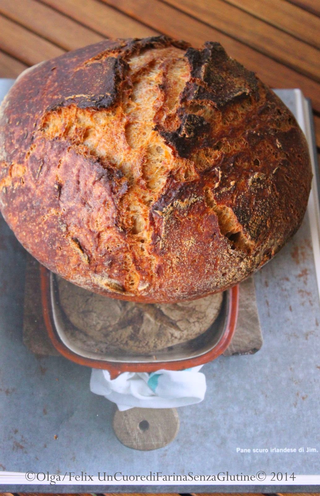 Pane Scuro: Teff+Latticello+Birra