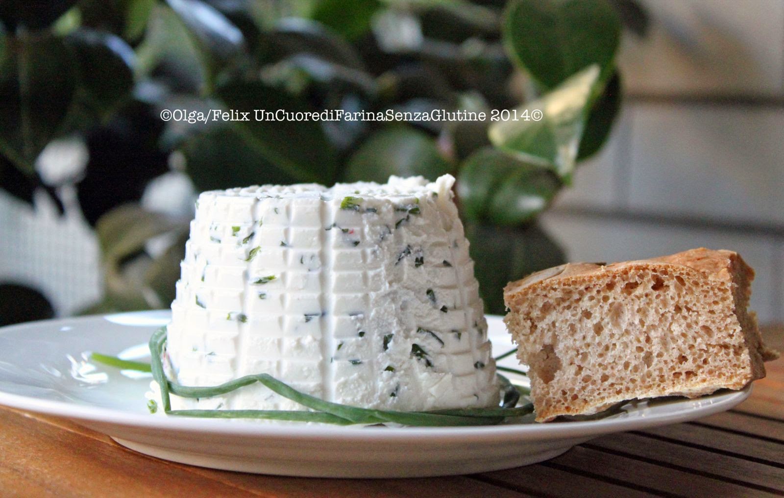 Formaggio Cremoso di Kefir all’Erba Cipollina