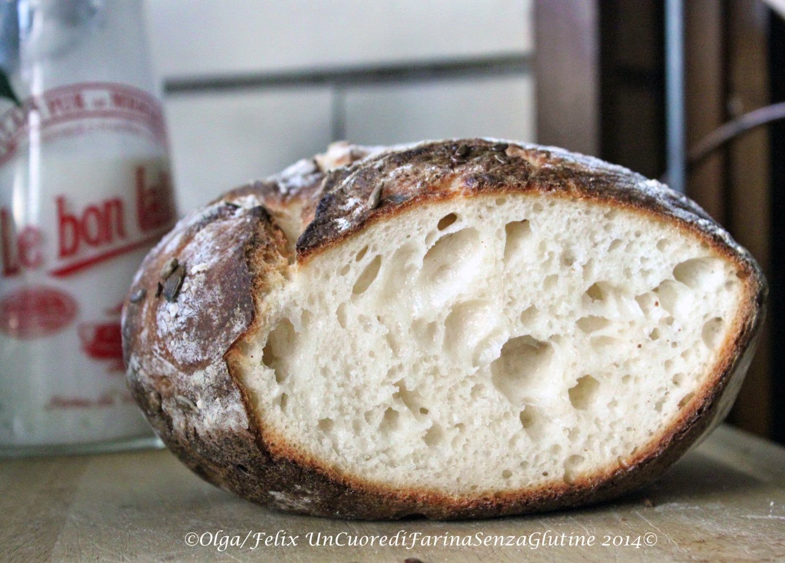 Cottura in Pentola&No Knead Bread – Un cuore di farina senza glutine