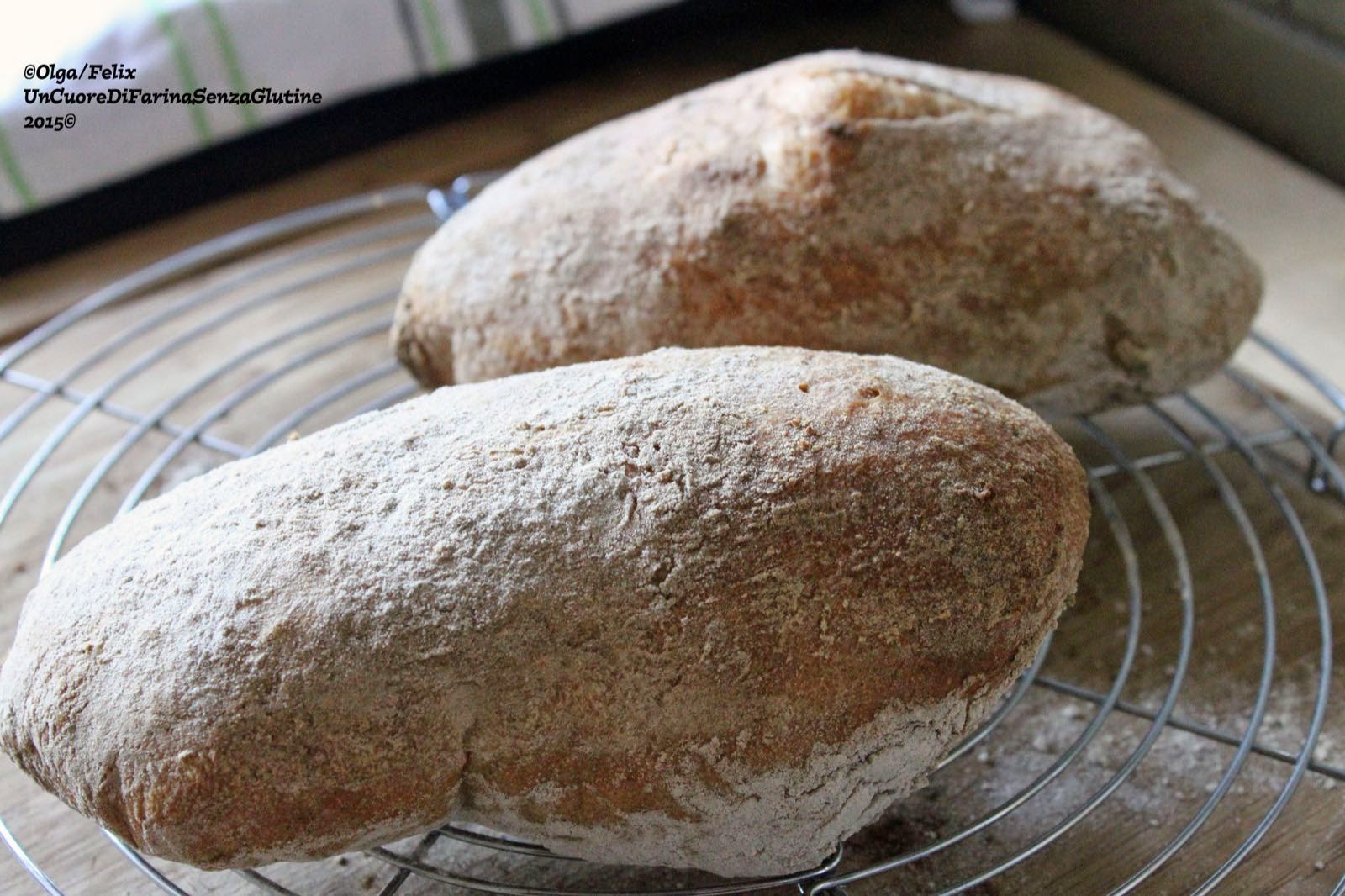 Pane “Ciabatta” con Farina Molino Dalla Giovanna Senza Lattosio