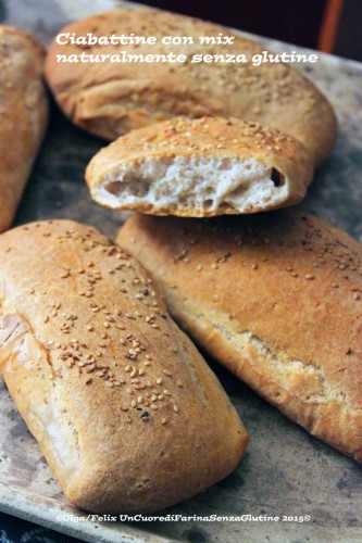 Mix di farine naturali per pane di Felix