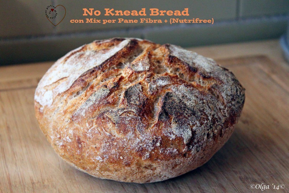 No Knead Bread con Nutrifree Fibra +