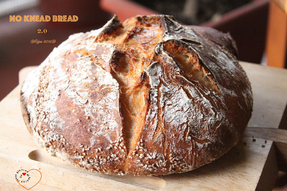 No Knead Bread 2.0