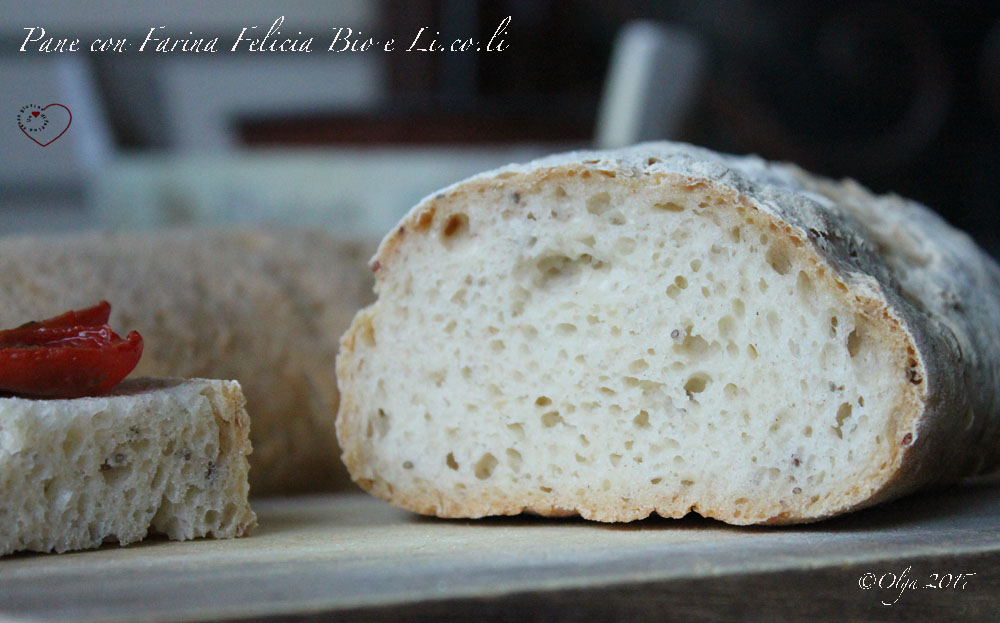 Pane con Mix Felicia Bio