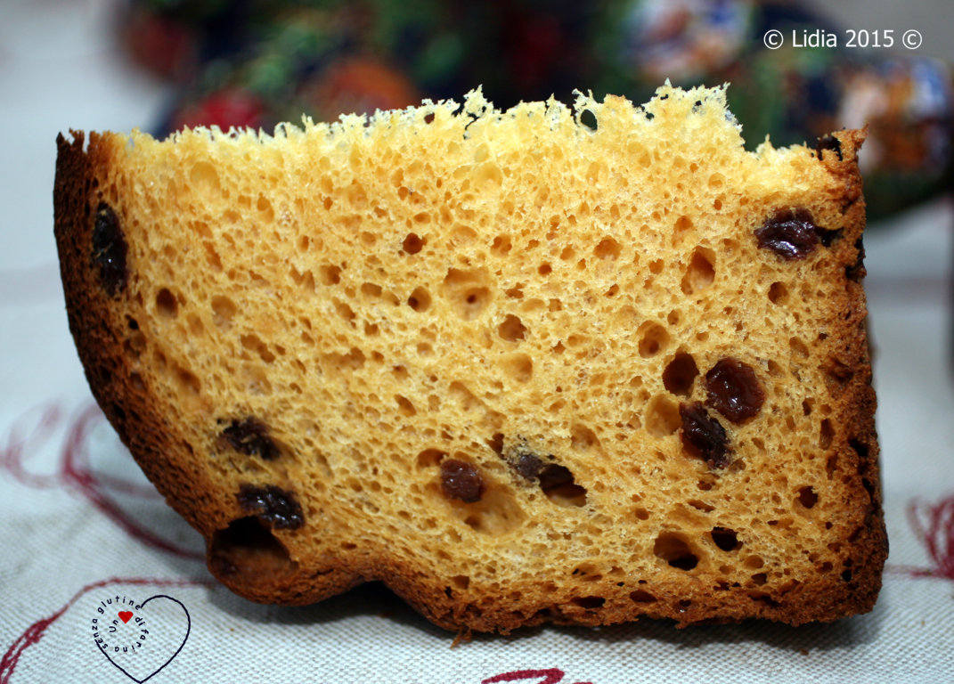 Panettone Senza Glutine a Biga