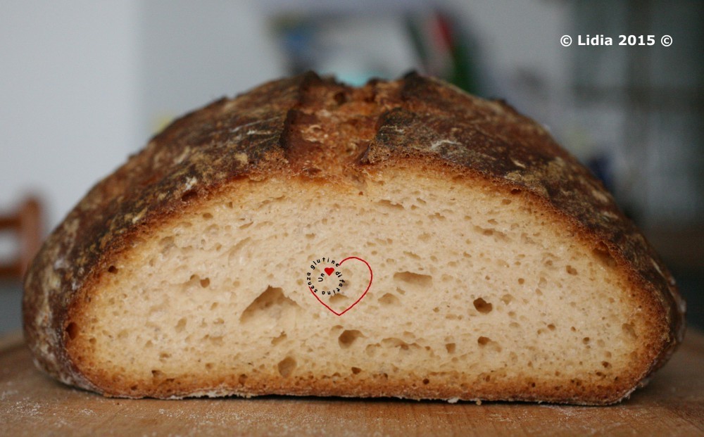 Pane lievitato con mosto d’uva