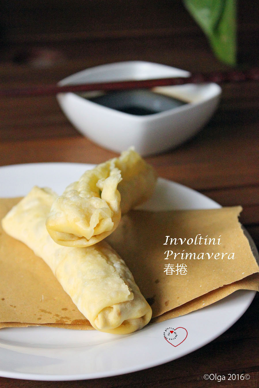 Involtini Primavera - Pasta Wonton